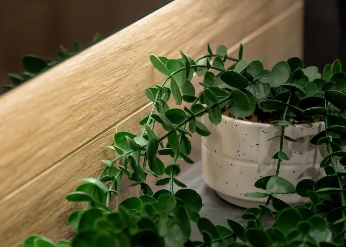 Lejlighed Tasteful Close To Piotrkowska Street By Renters